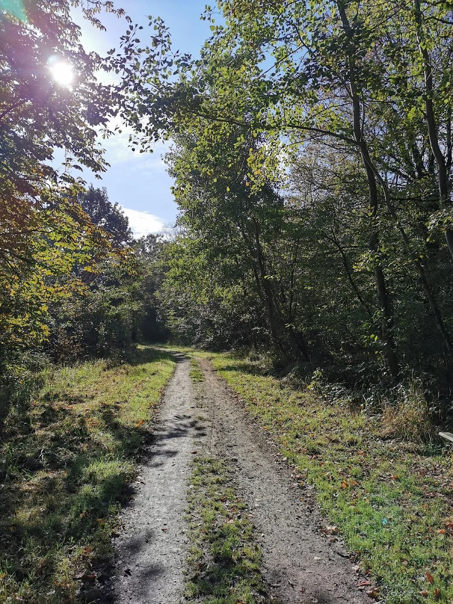Golf Clément Ader — photo 1