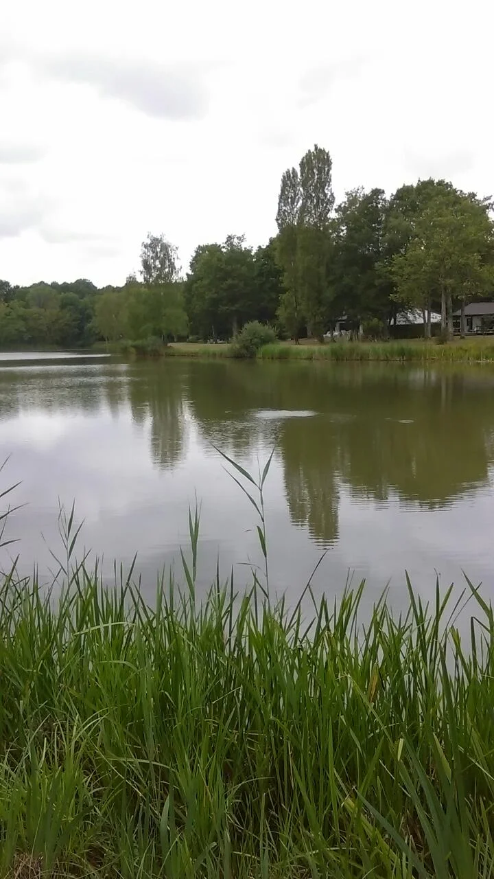 Golf de Clairis — photo 1