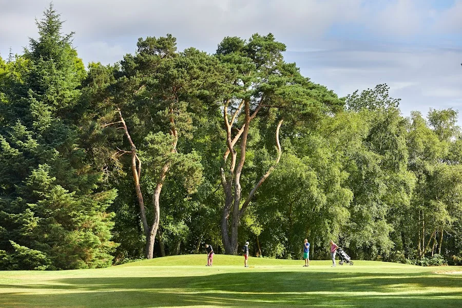 Golf de la baie de Saint Brieuc (Golf des Ajoncs d’or) — photo 1