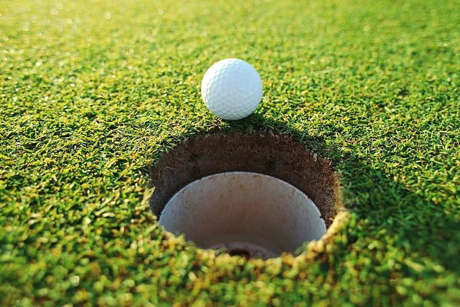 Golf de la Roche Posay (Golf du Connétable) — photo 1