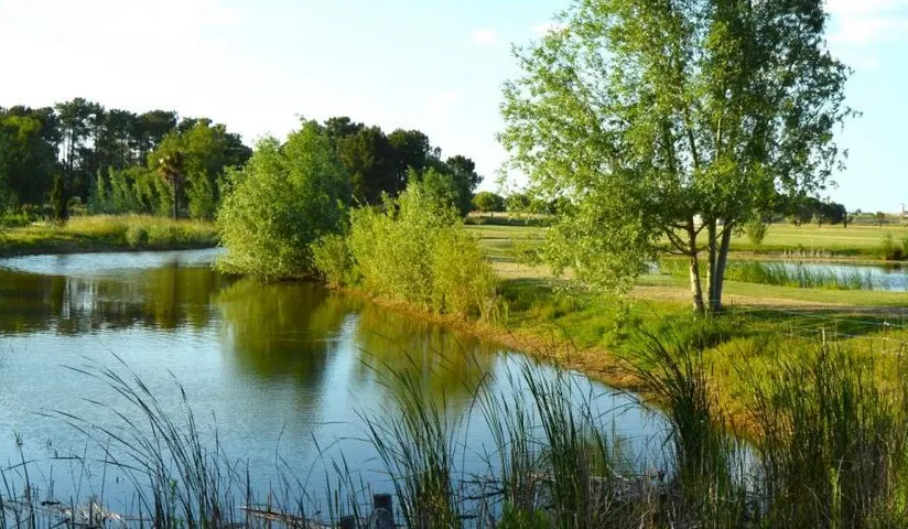 Golf de la presqu’île — photo 3