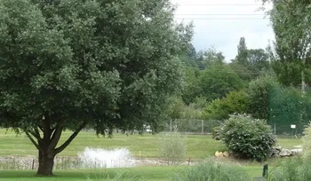 Golf de Salies du Salat — photo 3