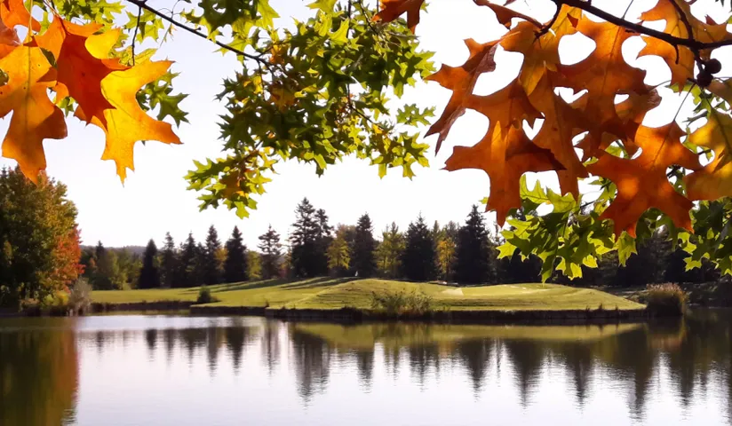 Le Golf Parc Robert Hersant — photo 4